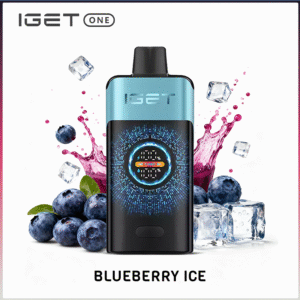 IGET One Blueberry Ice 12000 puffs